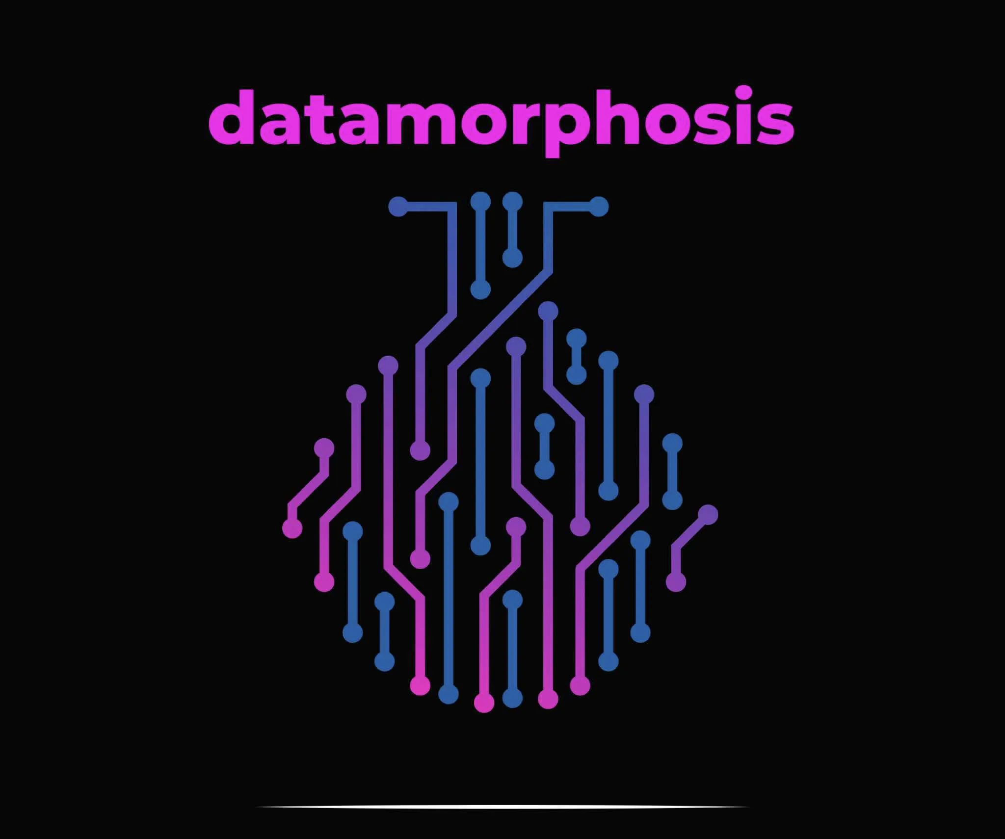 DATAMORPHOSIS