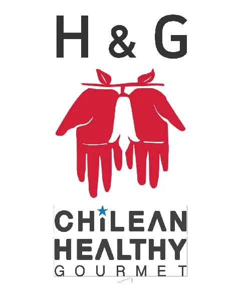 H&G CHILEAN HEALTHY GOURMET