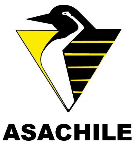 ASACHILE