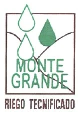 MONTE GRANDE