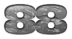 88
