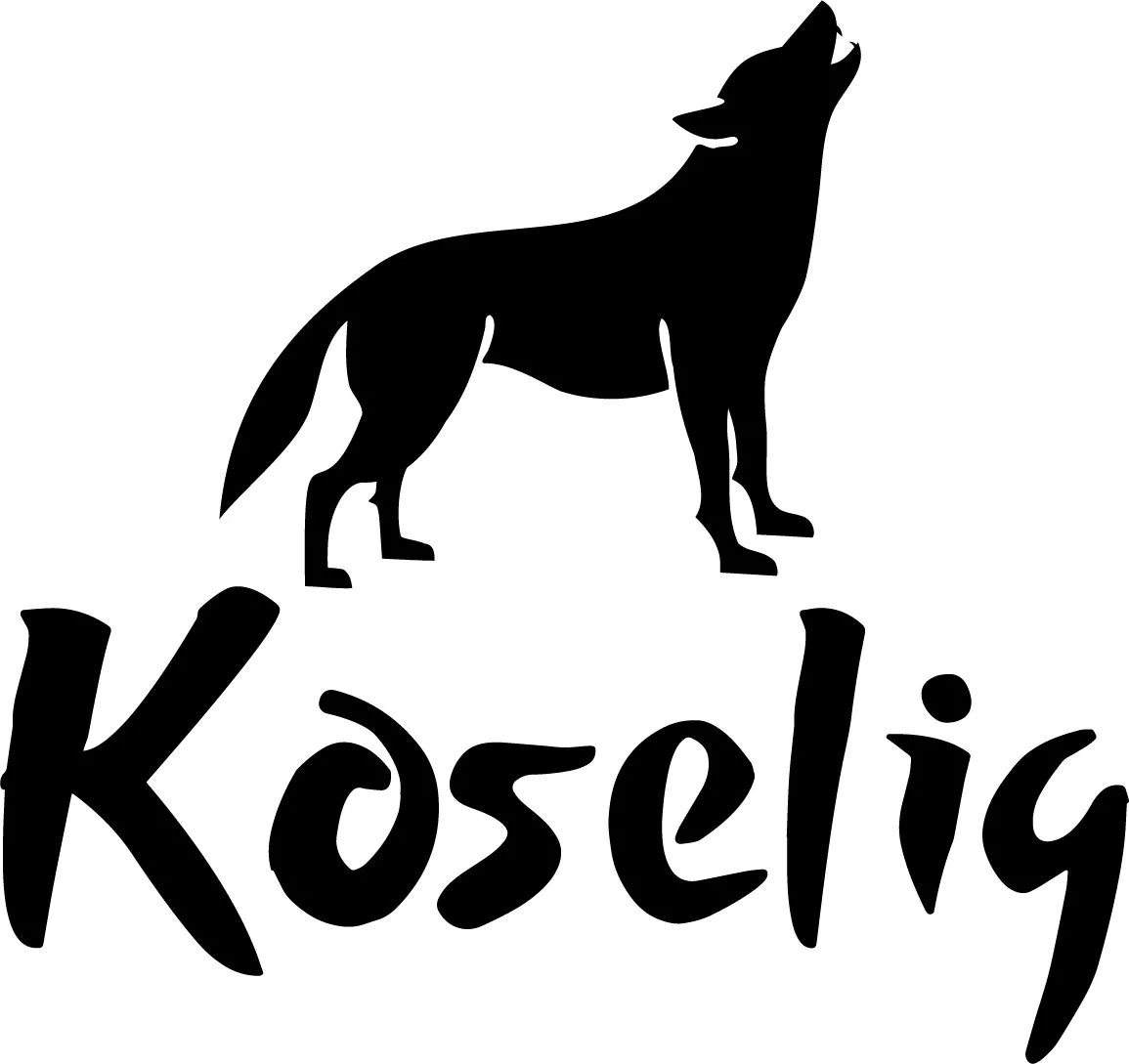 Koselig