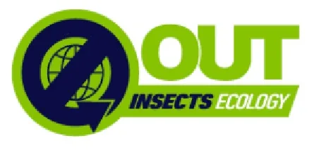 OUT INSECTS ECOLOGY