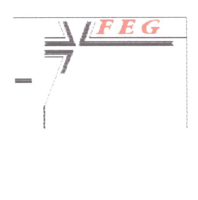 FEG