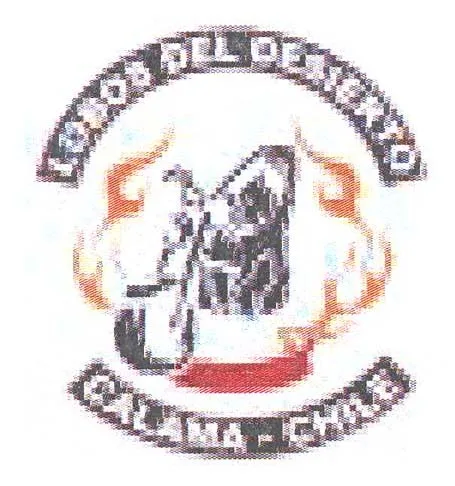 LOBOS DEL DESIERTO