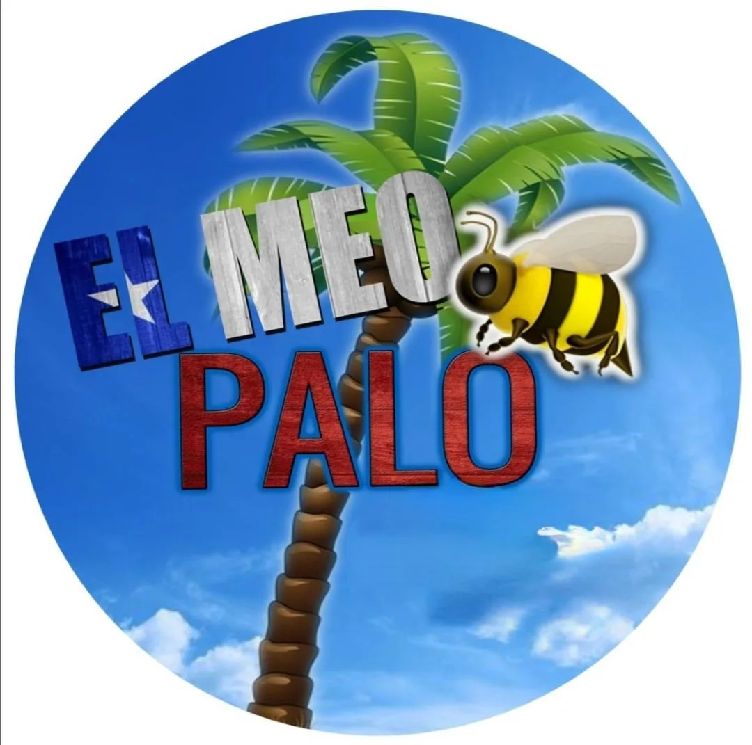 el meo palo