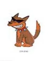 COOLDOG