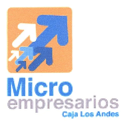 MICRO EMPRESARIOS CAJA LOS ANDES