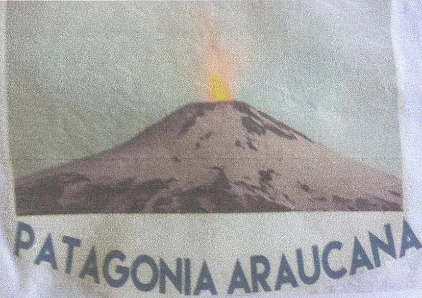 PATAGONIA ARAUCANA