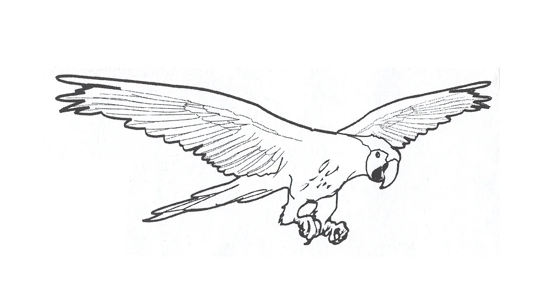 Acta 885237