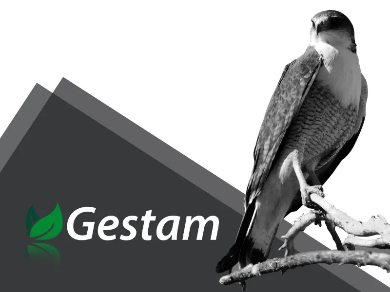 GESTAM