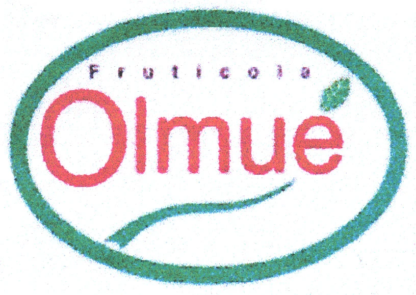 FRUTICOLA OLMUE