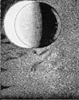 Acta 1062239
