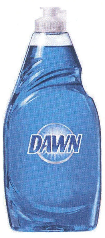 DAWN