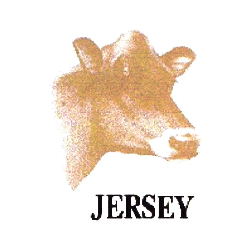 JERSEY