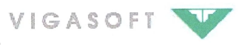 VIGASOFT