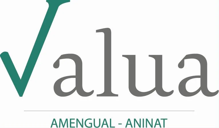 VALUA AMENGUAL-ANINAT