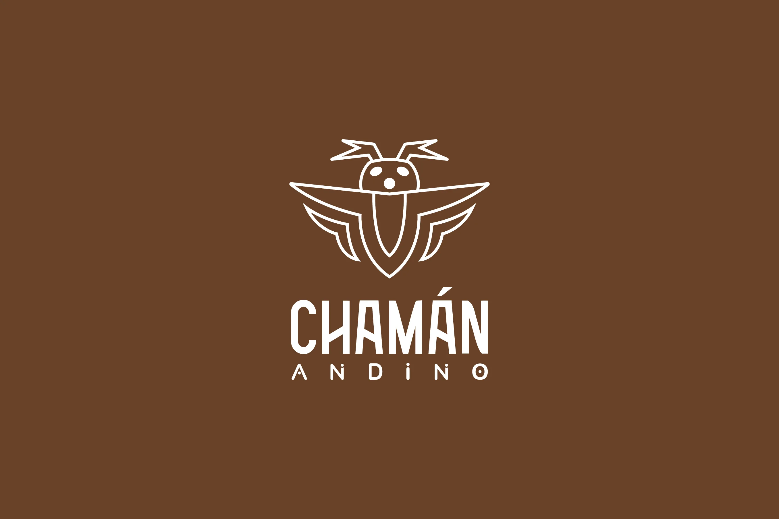 CHAMÁN ANDINO