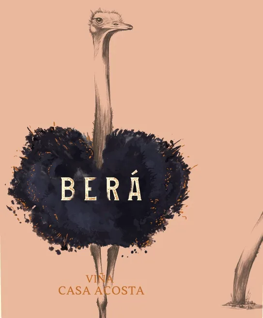 BERÁ VIÑA CASA ACOSTA