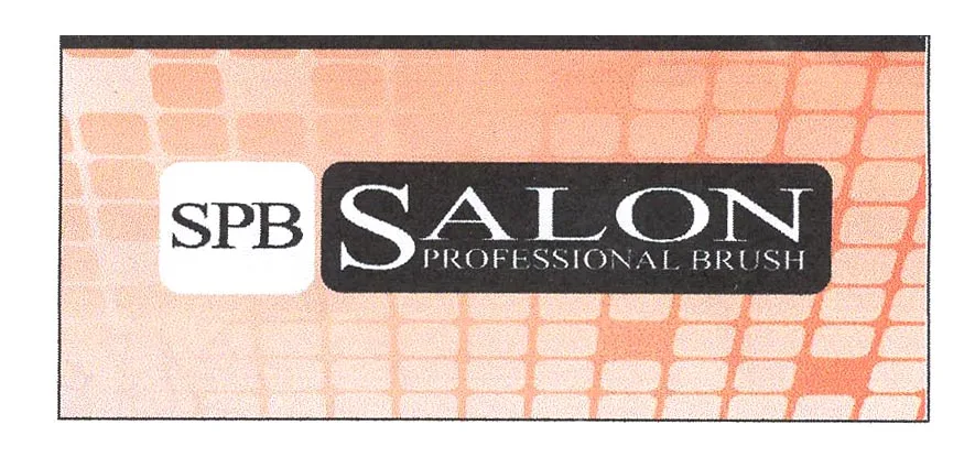 SPB SALON PROFESSIONAL BRUSH