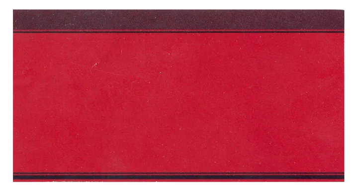 Acta 1007243
