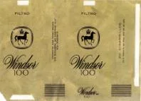 WINDSOR 100