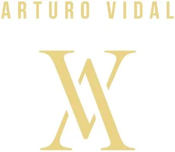 ARTURO VIDAL AV