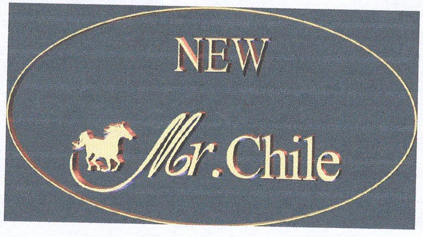 NEW MR. CHILE