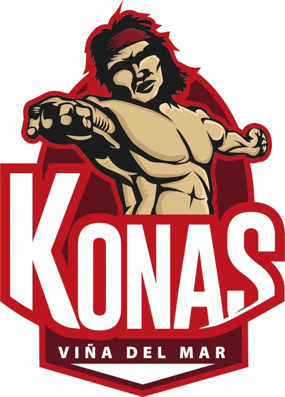 Konas viña del mar