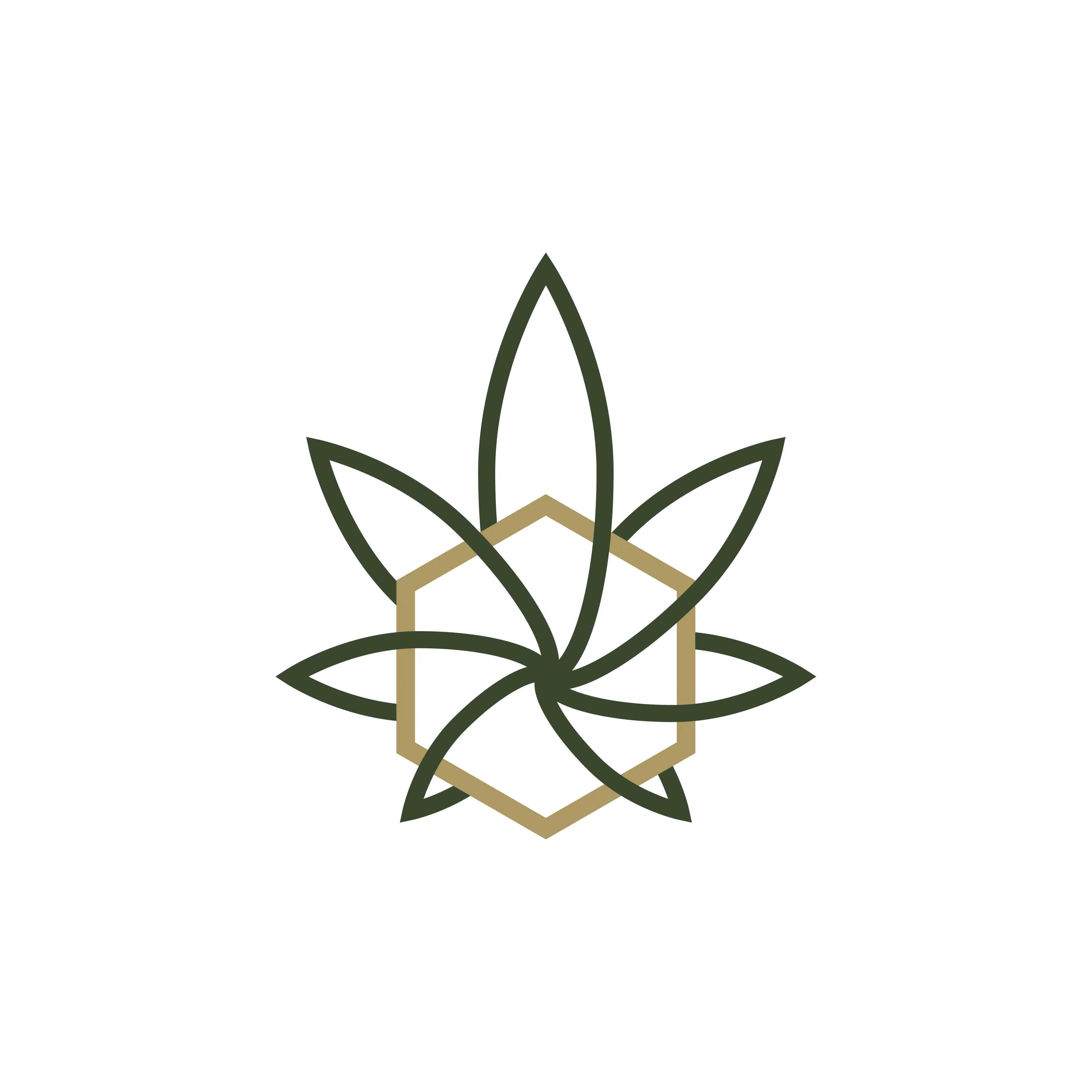 Acta 1538247