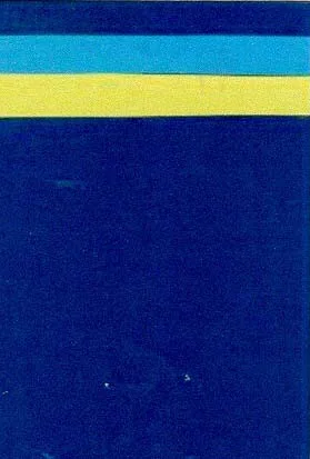 Acta 1025250