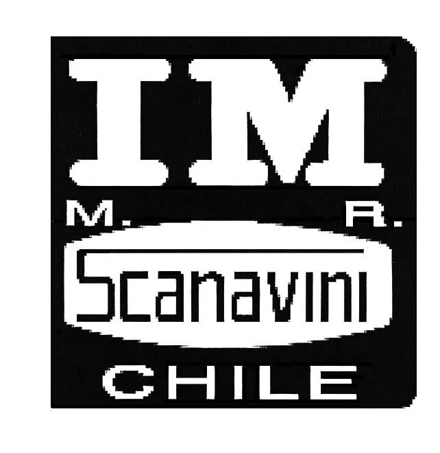 IM SCANAVINI