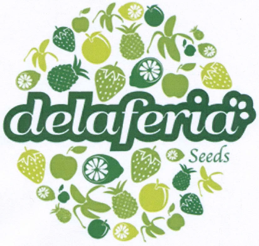 DELAFERIA SEEDS