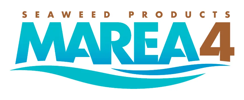 Marea4