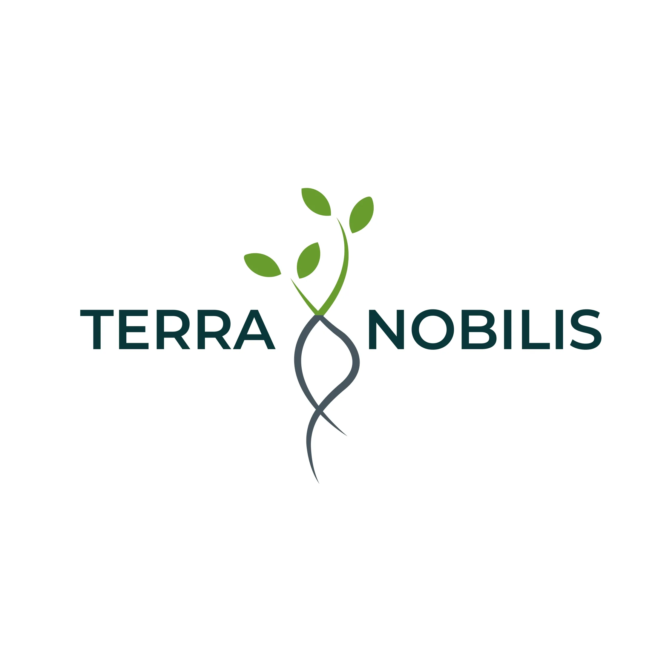 Terra Nobilis