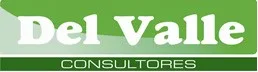 Del Valle Consultores
