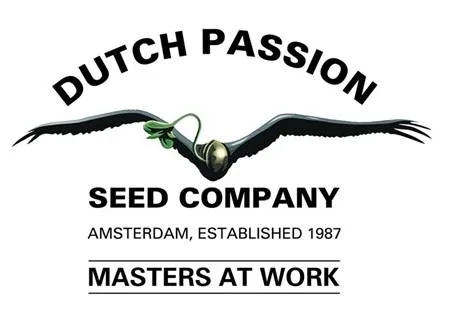 DUTCH PASSION SEED COMPANY AMSTERDAM,  ESTABLISHED 1987 MASTERS AT WORK