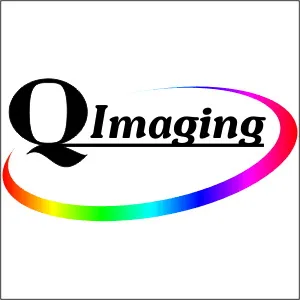 Q-IMAGING