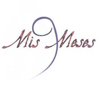 MIS 9 MESES