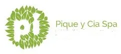 PI PIQUE Y CIA SPA