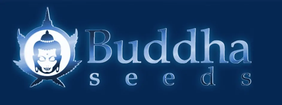 BUDDHA SEEDS