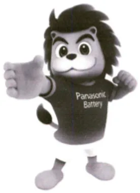 Panasonic Battery