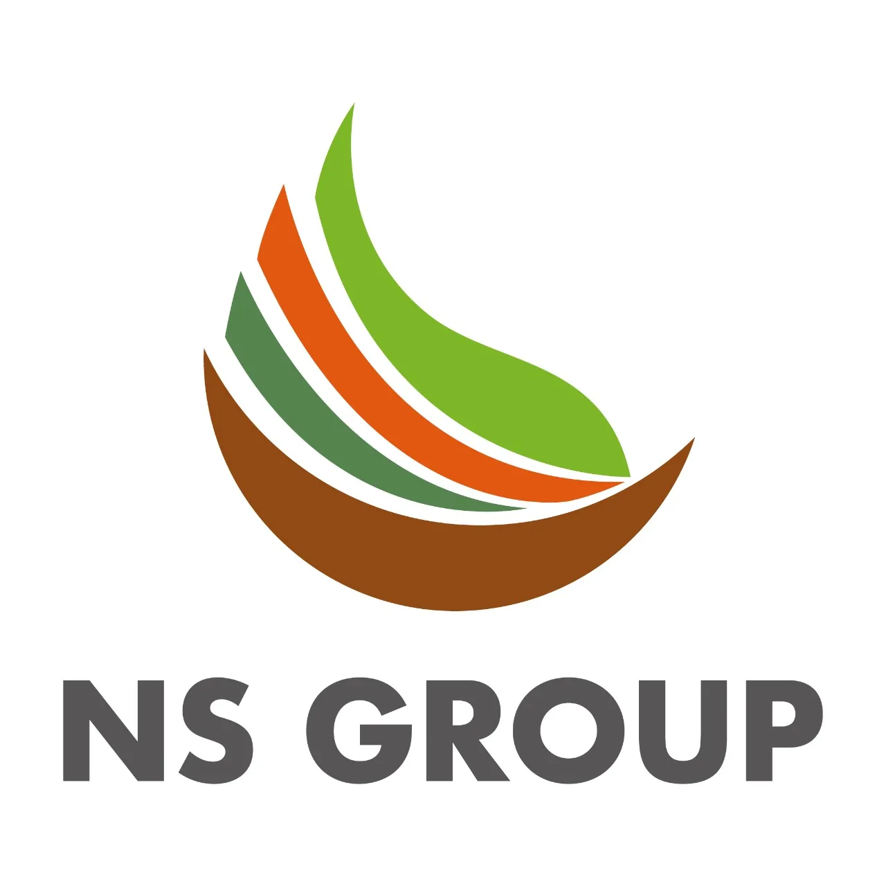 NS GROUP