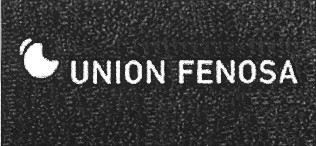 UNION FENOSA