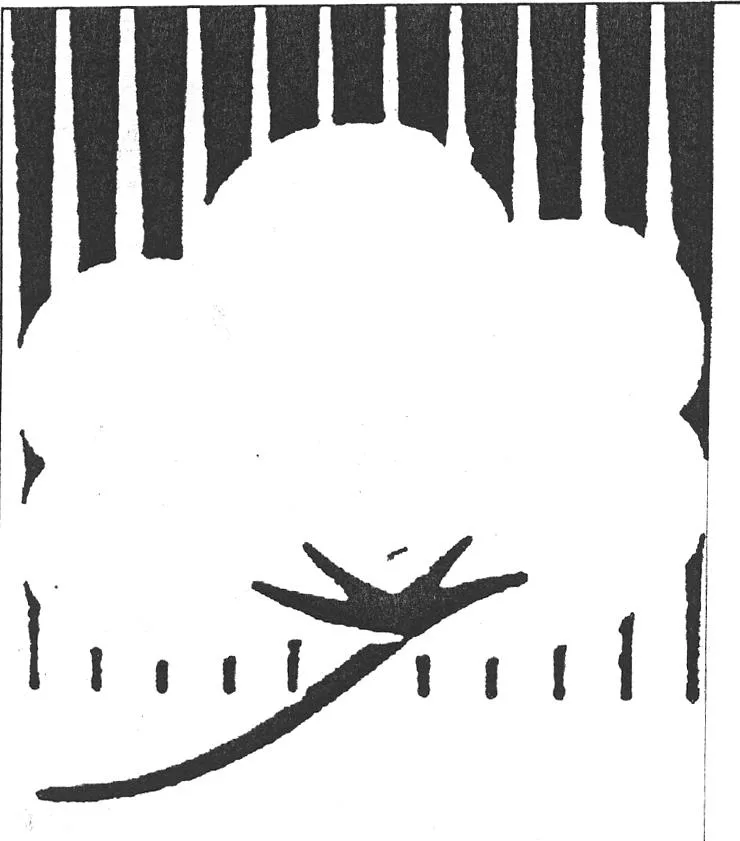 Acta 1196255