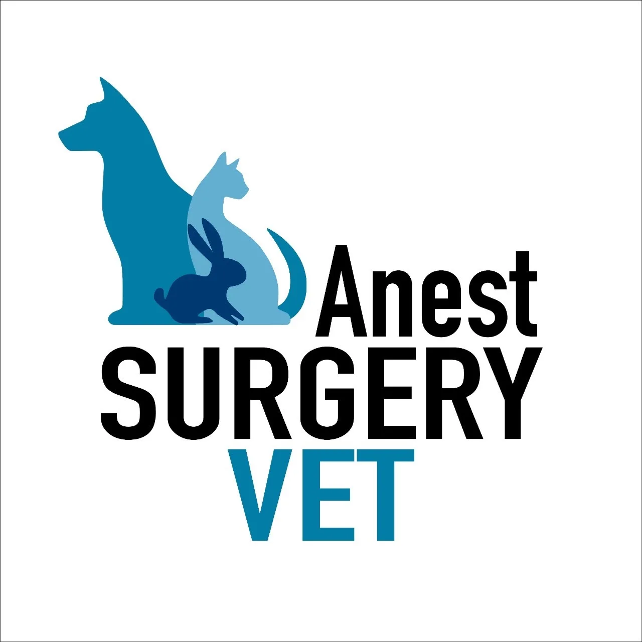 Anest Surgery Vet