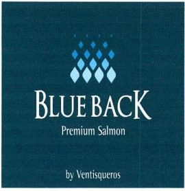 BLUE BACK PREMIUM SALMON BY VENTISQUEROS