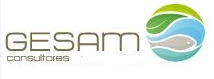 GESAM CONSULTORES