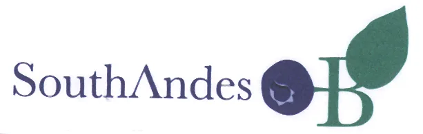 SOUTH ANDES B