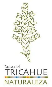 RUTA DEL TRICAHUE NATURALEZA